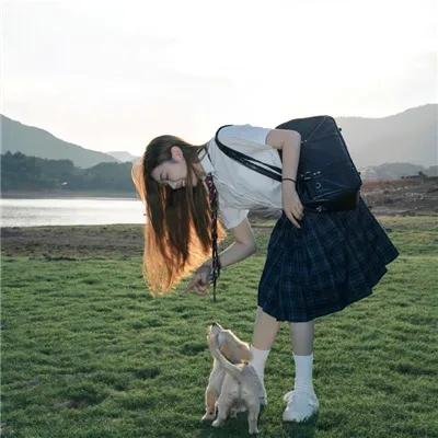 霍莉